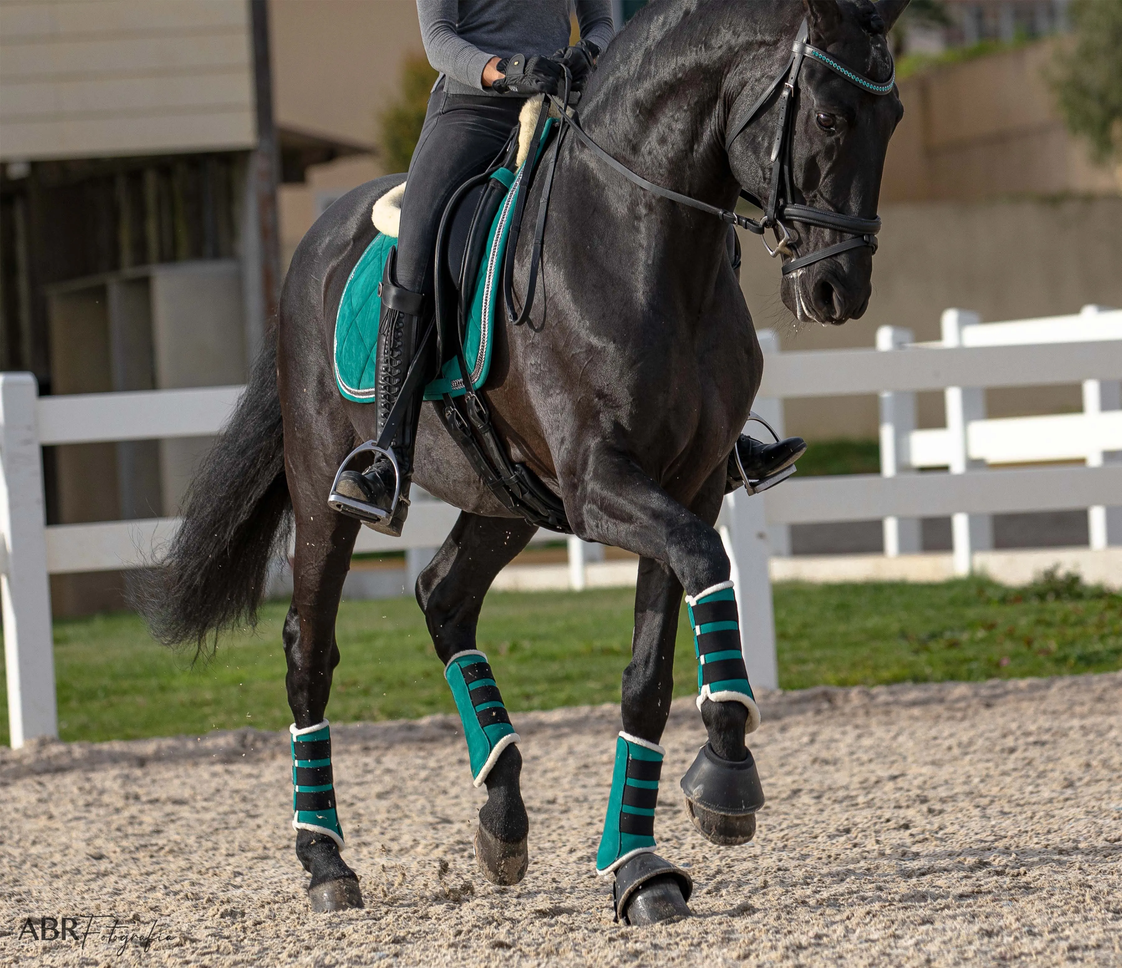 Teal Brushing Boots